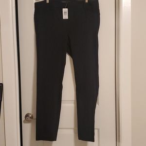 Torrid studio pants
